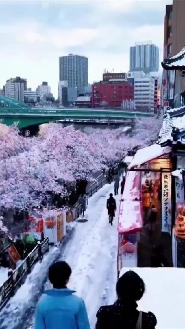 Monet Powered by Sora - AI Video Generator