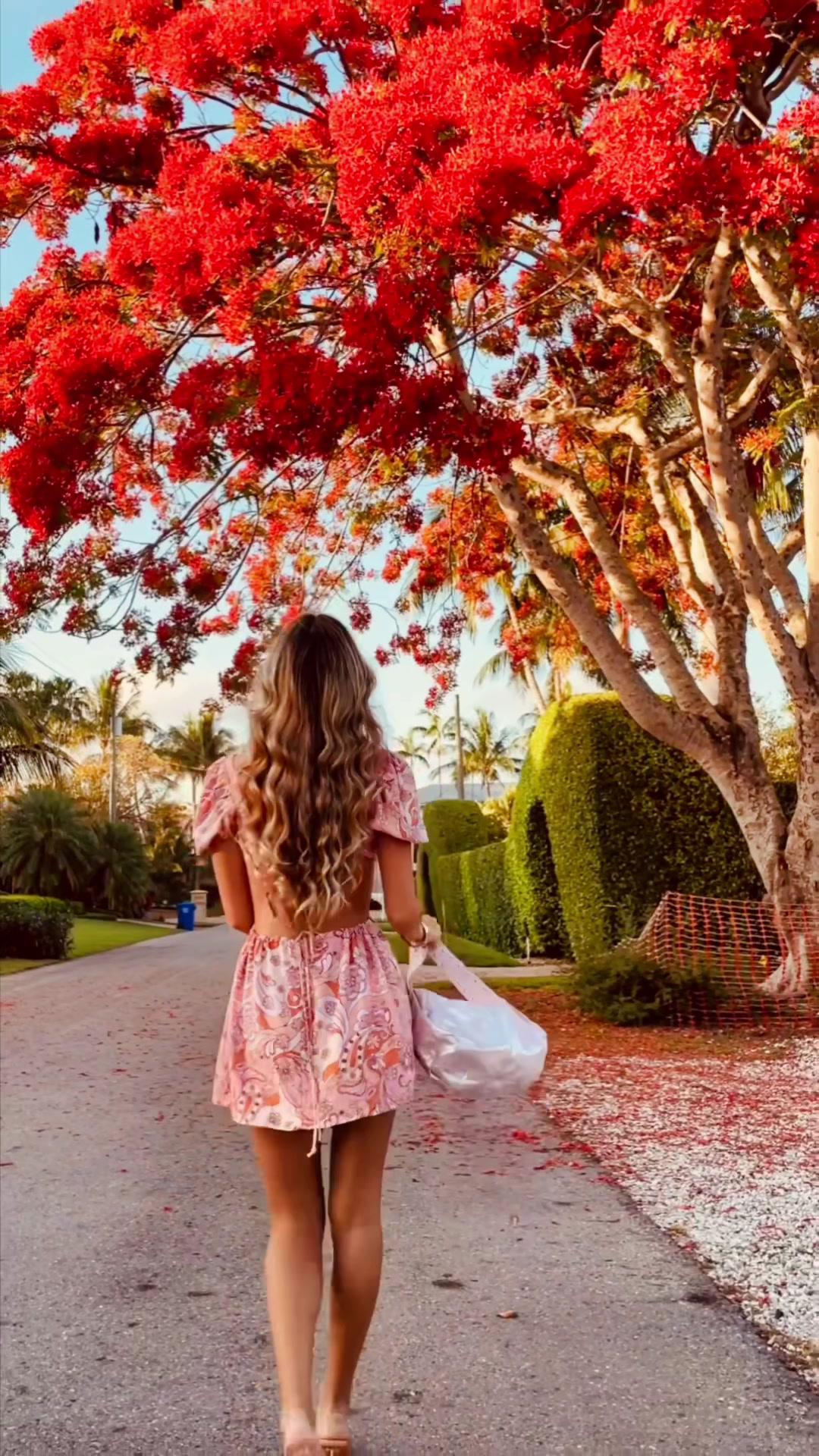 Turn your videos into AI paintings 🎨👩‍🎨🖼️ our AI templates are SO entertaining 😂 you have to try it them out! #madewithmojo #videoediting #mojovideo #contentcreatortips #ugccontentcreator #videoeditingapp #AI #aitemplates #aipainting