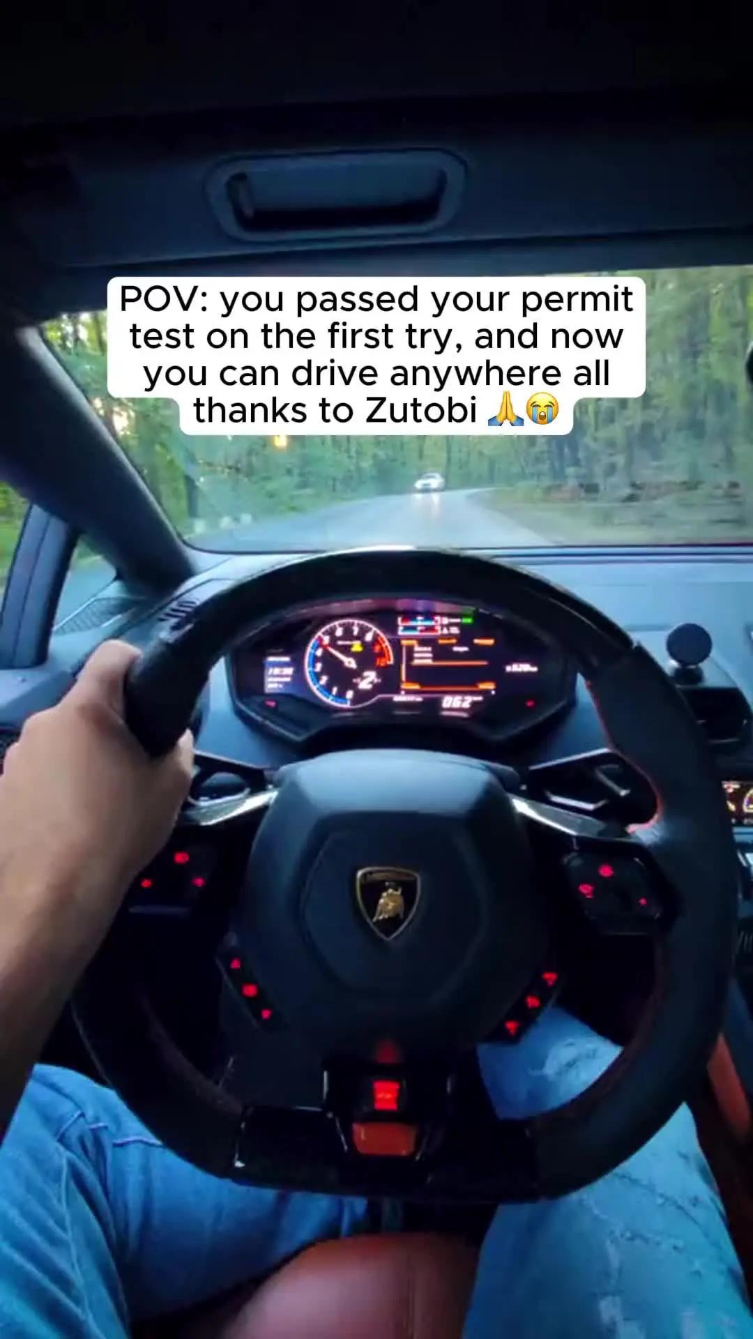 Ace your permit test and master behind-the-wheel training now!