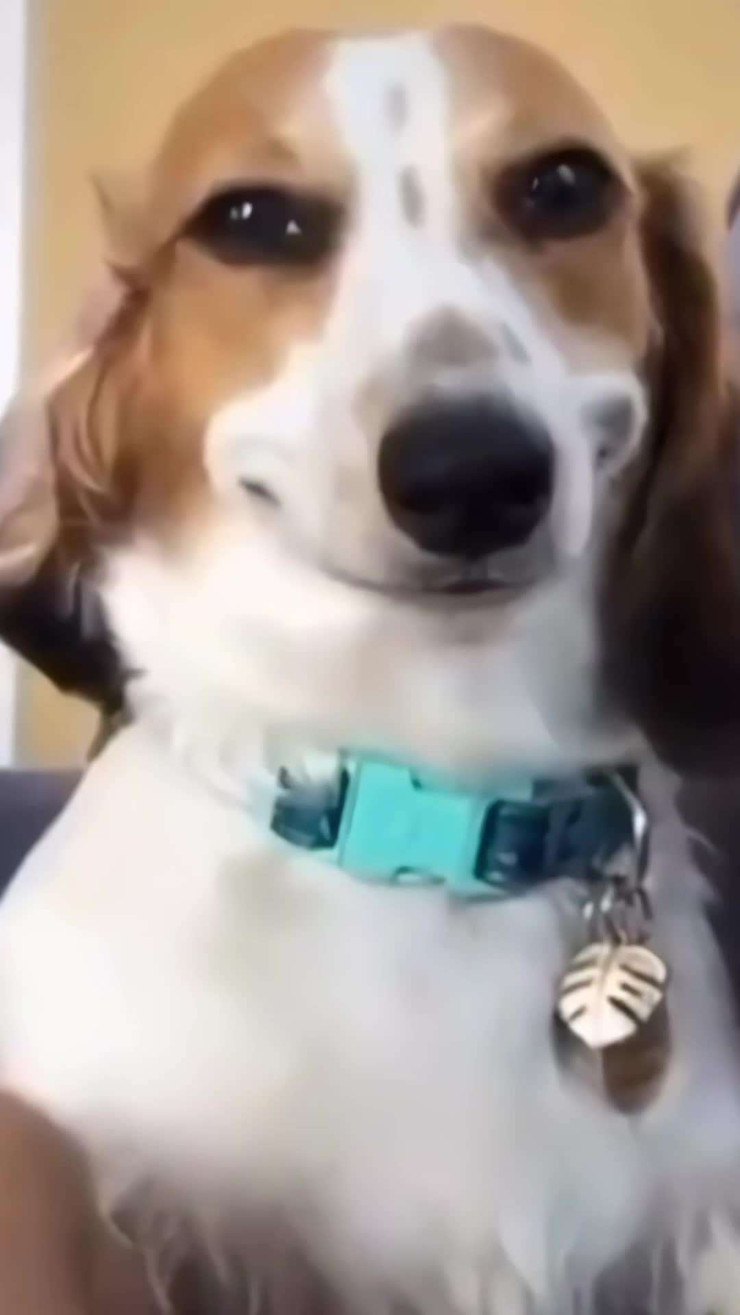 Ask anything. Get answers immediately. Your Super AI Chat.