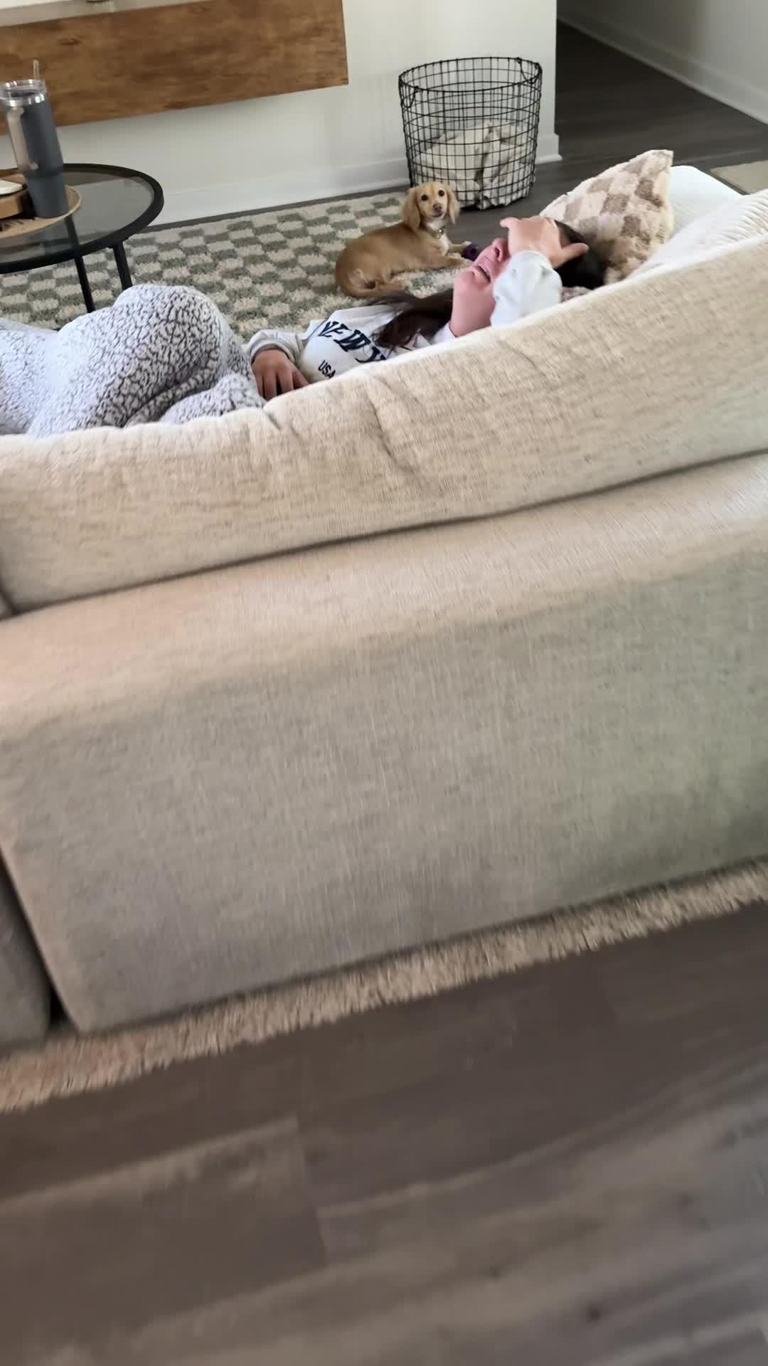 Download the IDLE game for free!