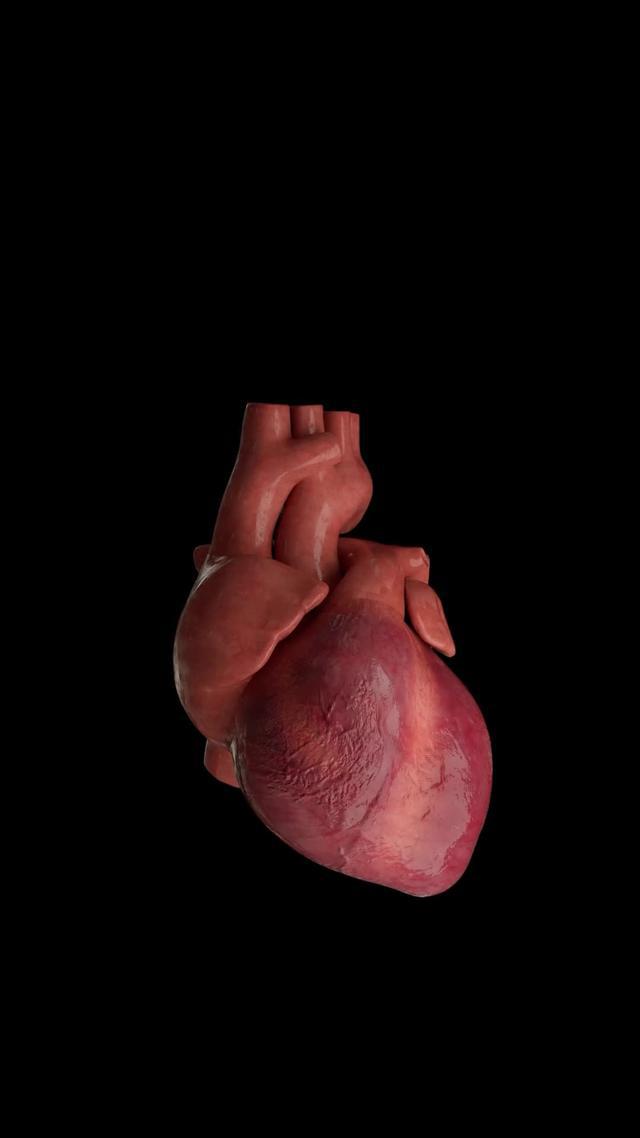 Easily Check Your Heart Rate!