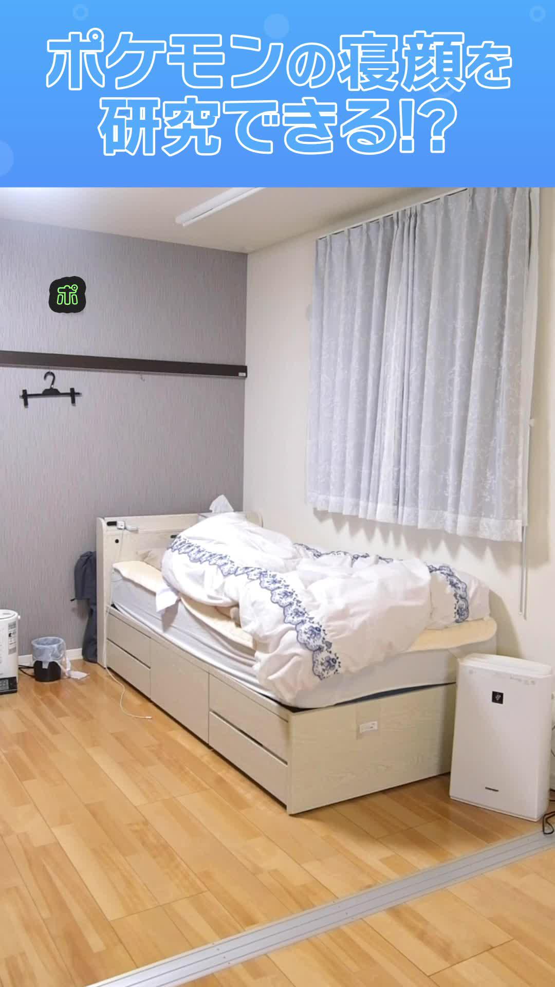 カビゴンと一緒に眠ると、翌朝自分の睡眠タイプと似た睡眠タイプをもつポケモン達が集まってくる