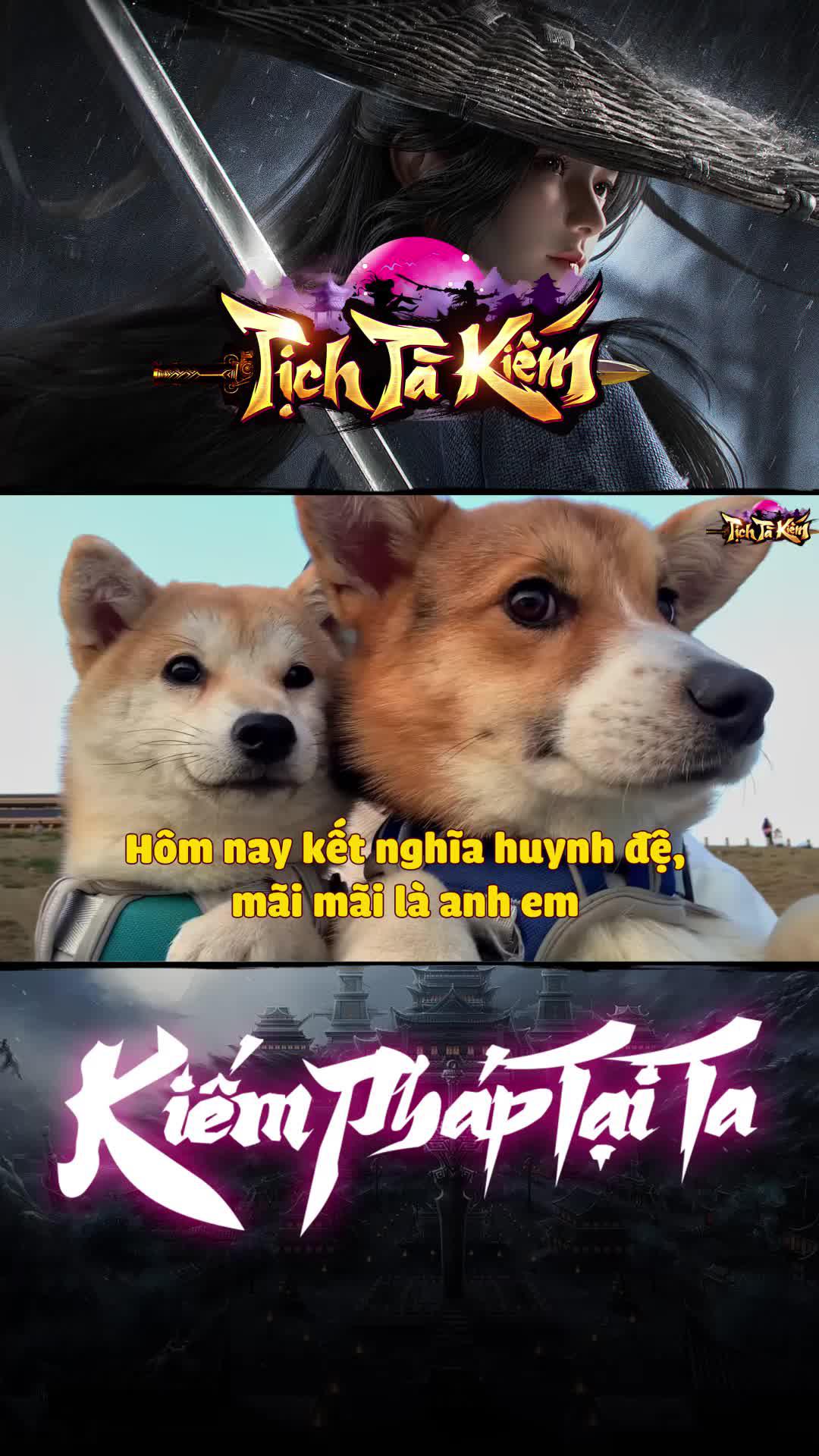 Tặng 5 vipcode SVIP666 SVIP777 TTK888 TTK999 KIEMVIP! Nhận ngay 15000KNB!