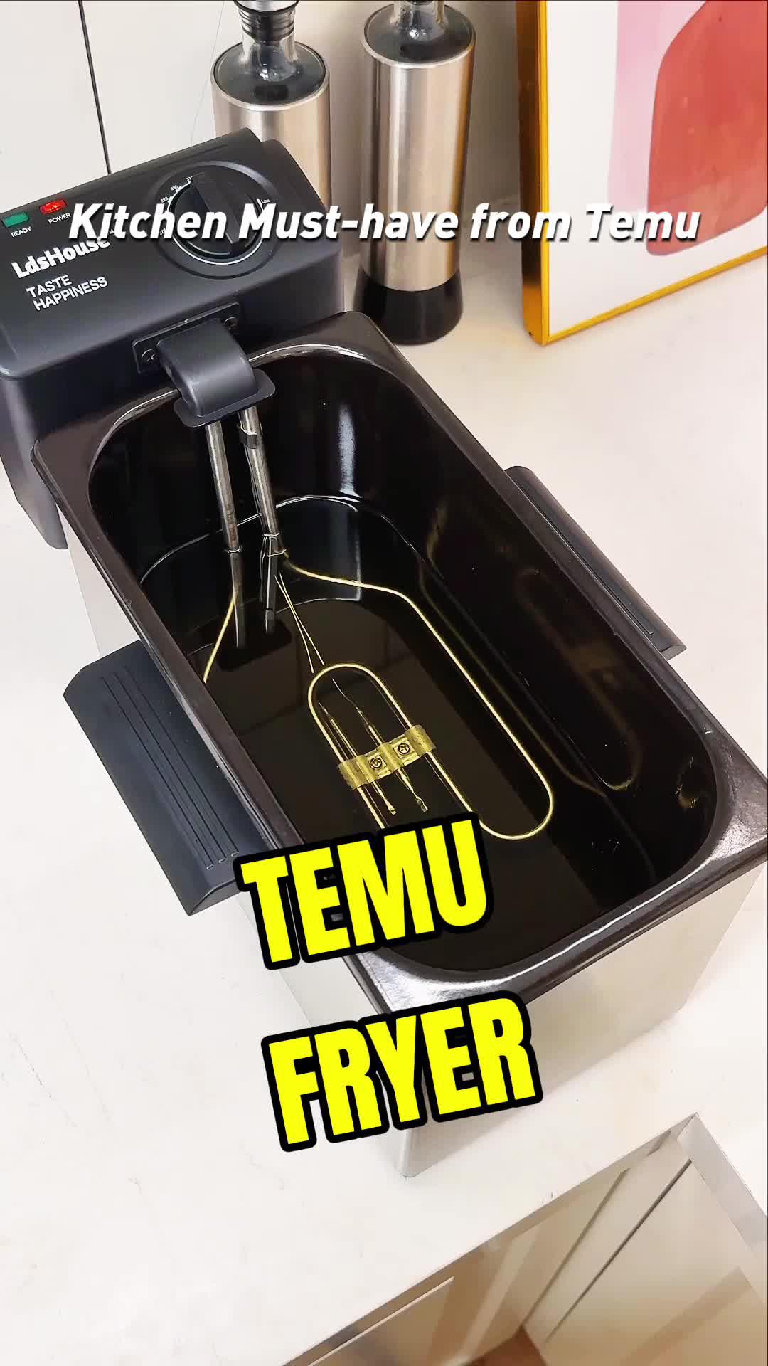 Hey, want a plate of delicious food?😋 You won't regret owning this Electric Deep Fryer! 🍟🔎 Search dmn7454 on Temu for this amazing product! #Temu #TemuFinds