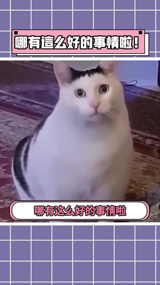 找不到好玩的遊戲了？WePlay集合超多小遊戲，總有一款你喜歡！