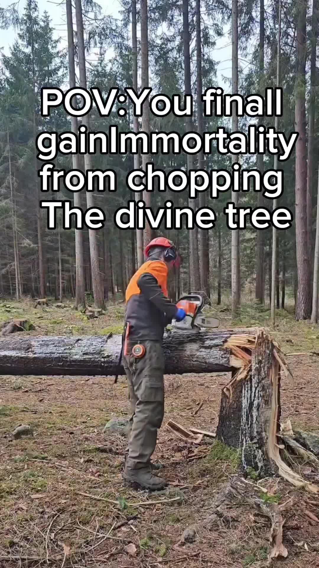 Download NOW for FREE!