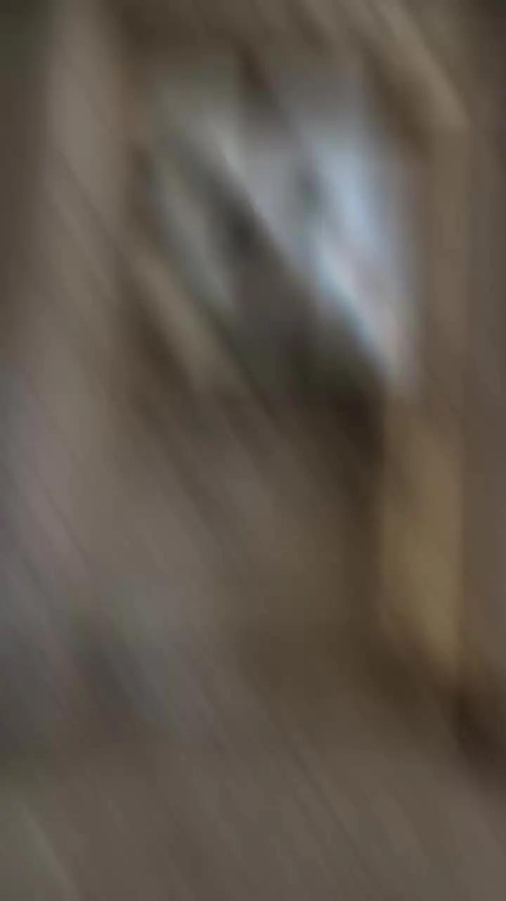 Zombies are coming!!Will you survive the night??