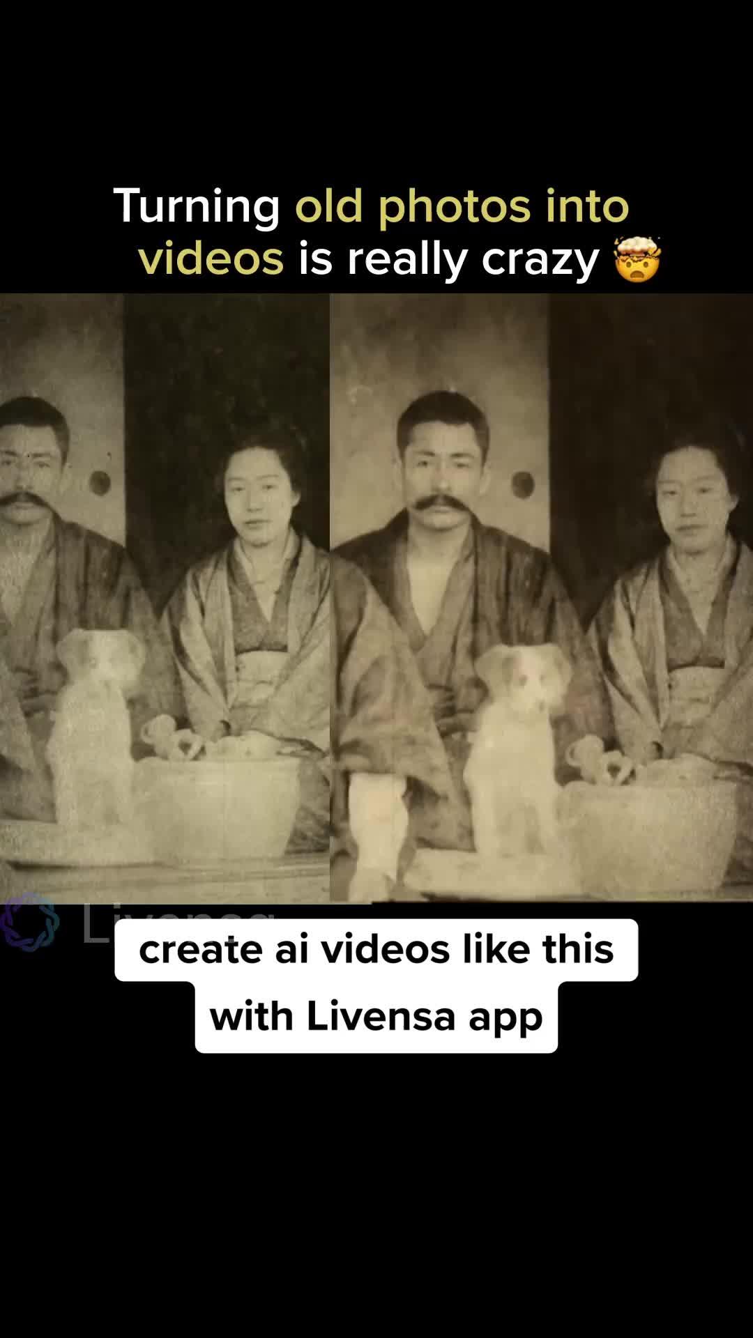 Create Al videos with your own words on mobile