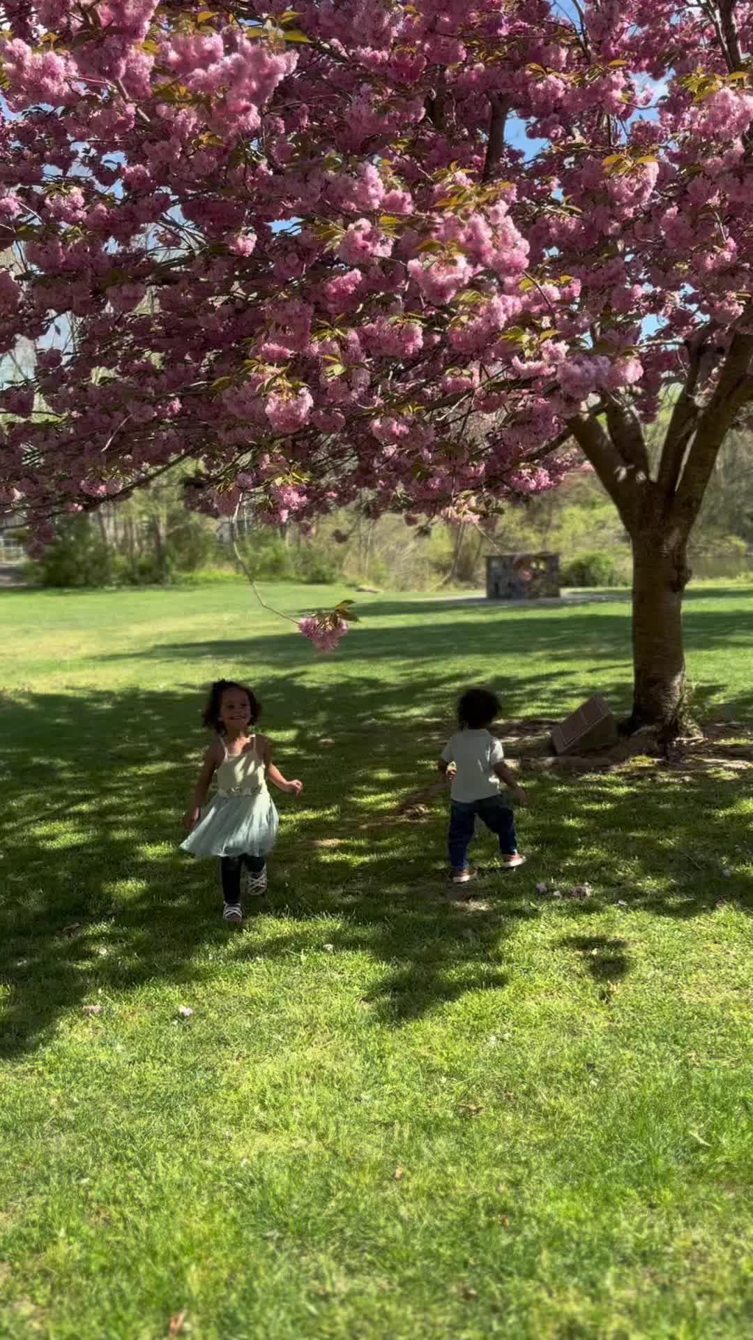 Capture all your baby's magical firsts and securely share them with family and friends