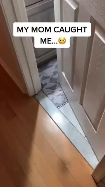 Sing karaoke songs anytime anywhere