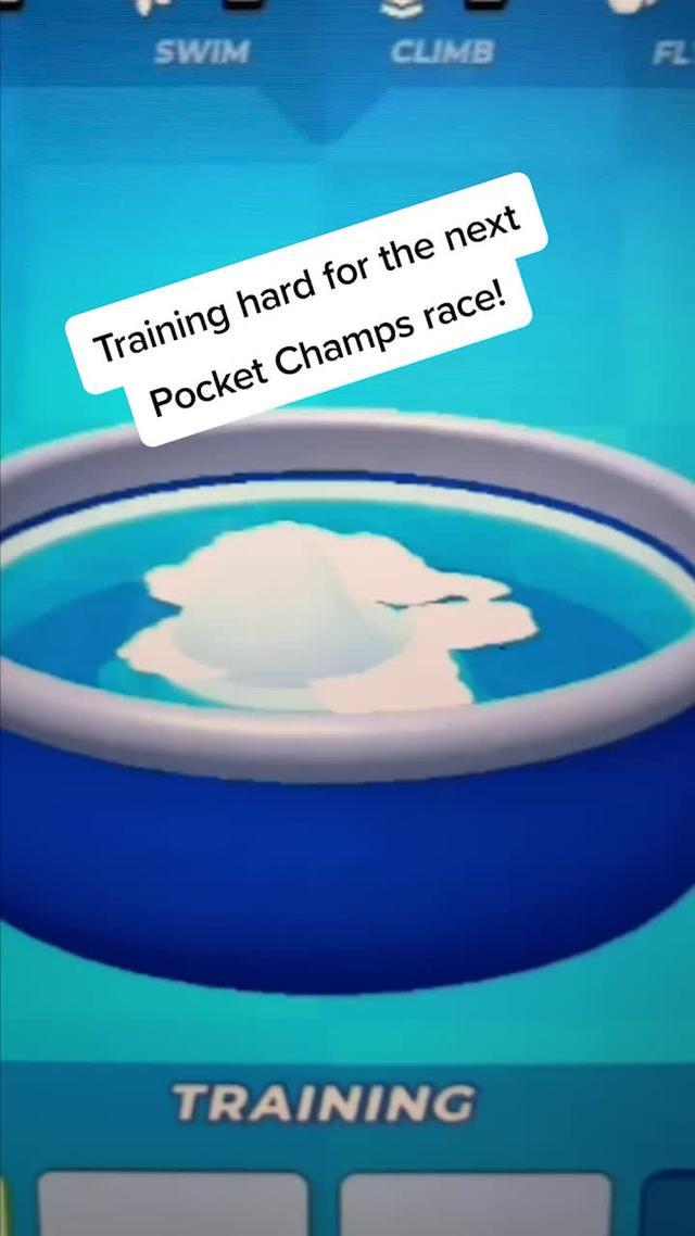 Train it! Help your Champ win the race! 