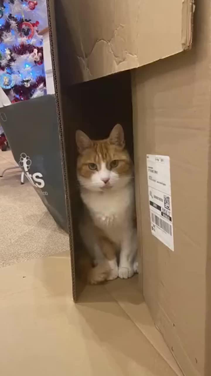 This software can make phone move faster! Just have a try!