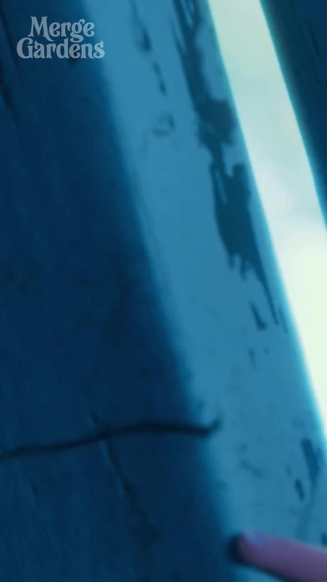 What is the secret? Download to play and discover the secrets of the garden!