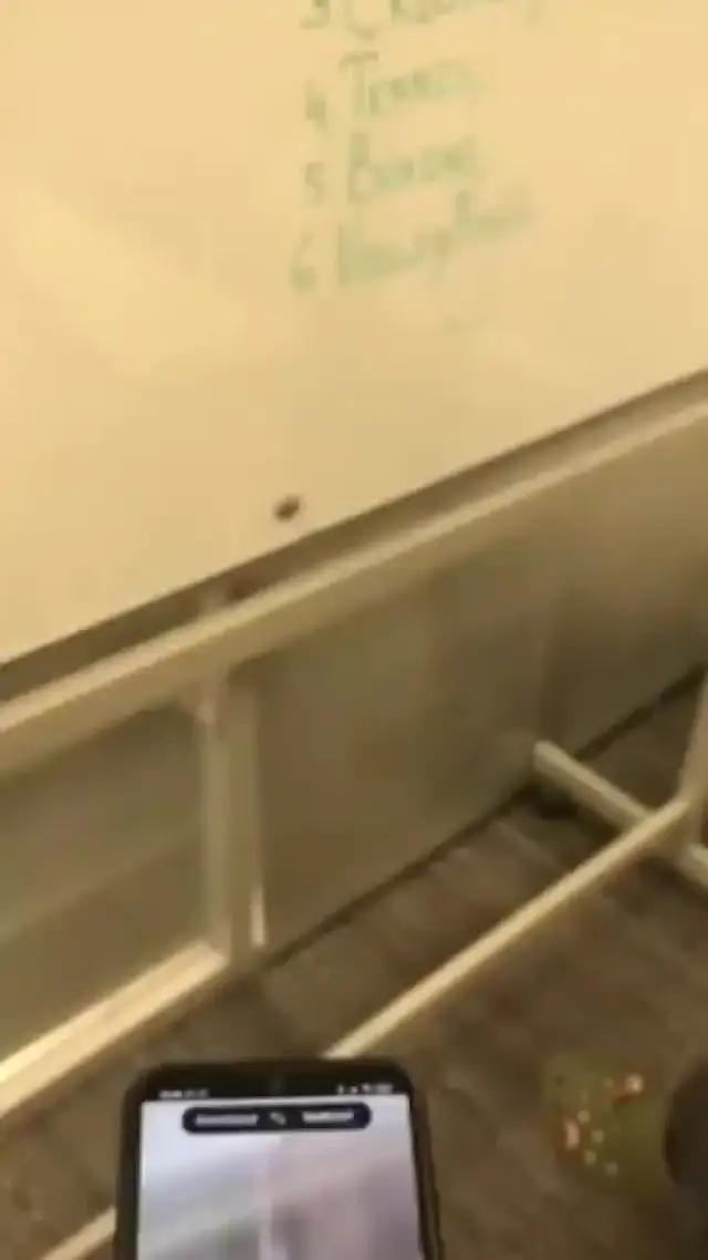 This application can make your phone run faster! Insatll it for free!