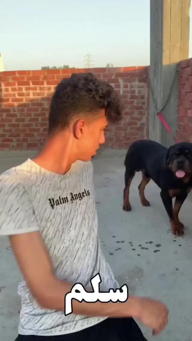 التحميل الان