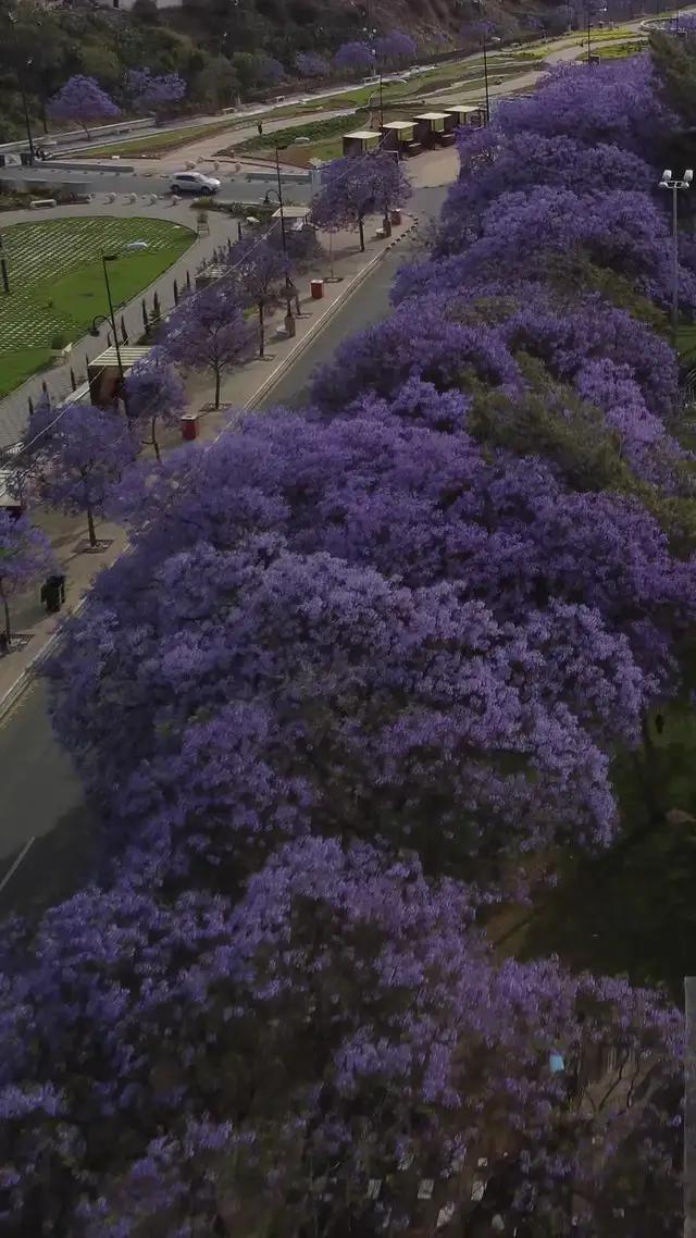 بين الجبال ولا وسط البحر، صيفك مثل ما تبي بخصم حتى 500 ريال باستخدام كود "SMR24"احجز الحين 