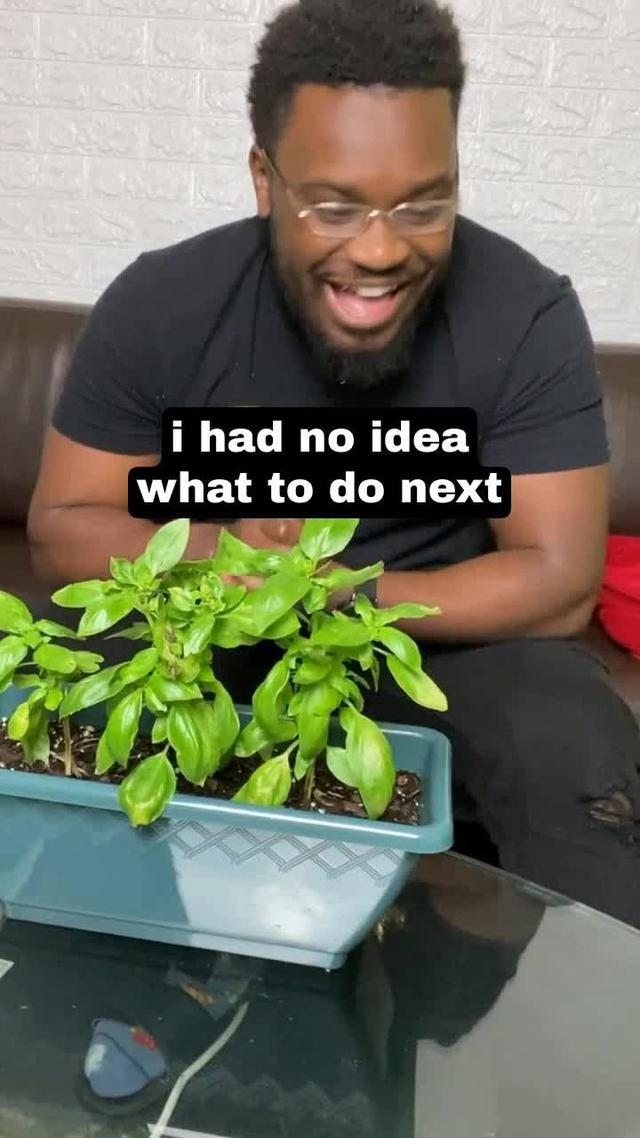 ID your plants & help them thrive with Greg, the smart plant care app.