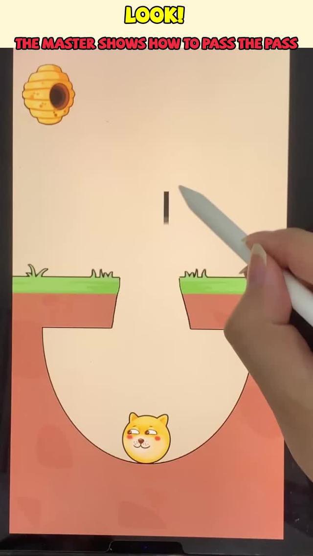 Doge is in danger! help him!