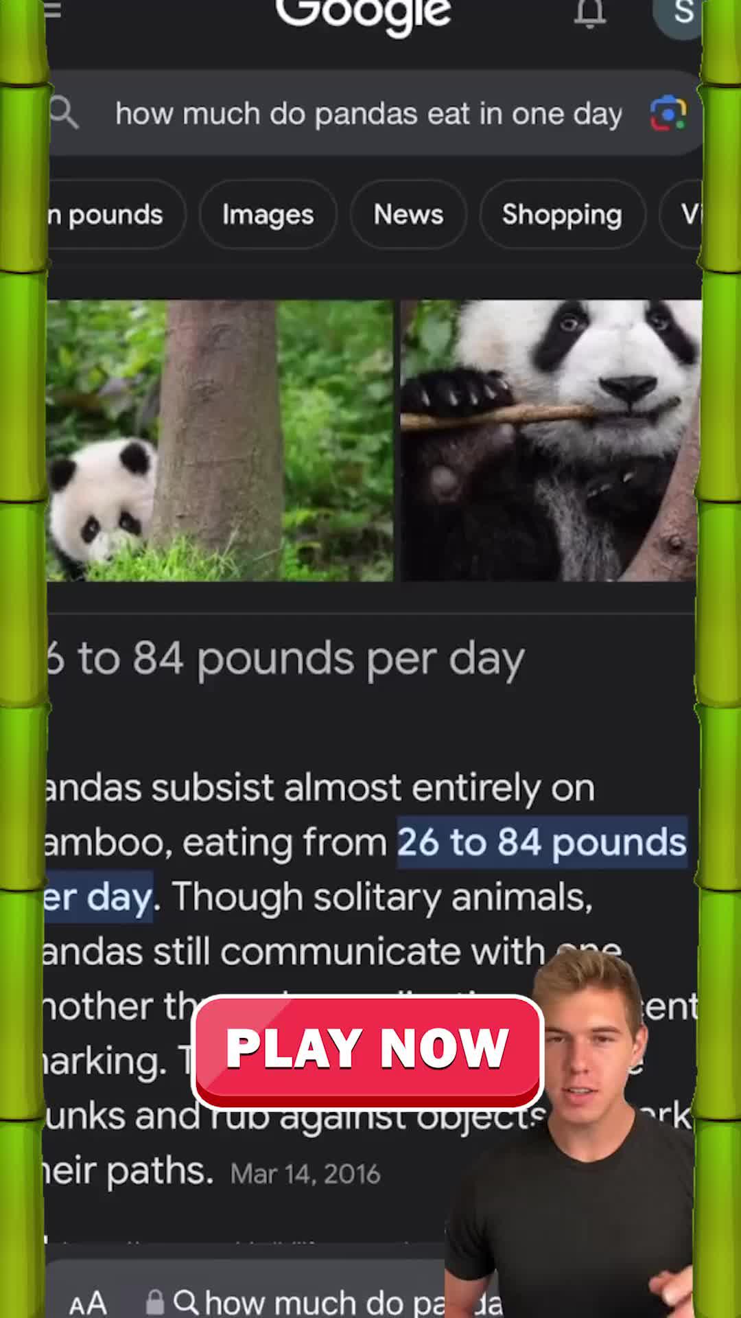 Build your own Sugarcane Factory!