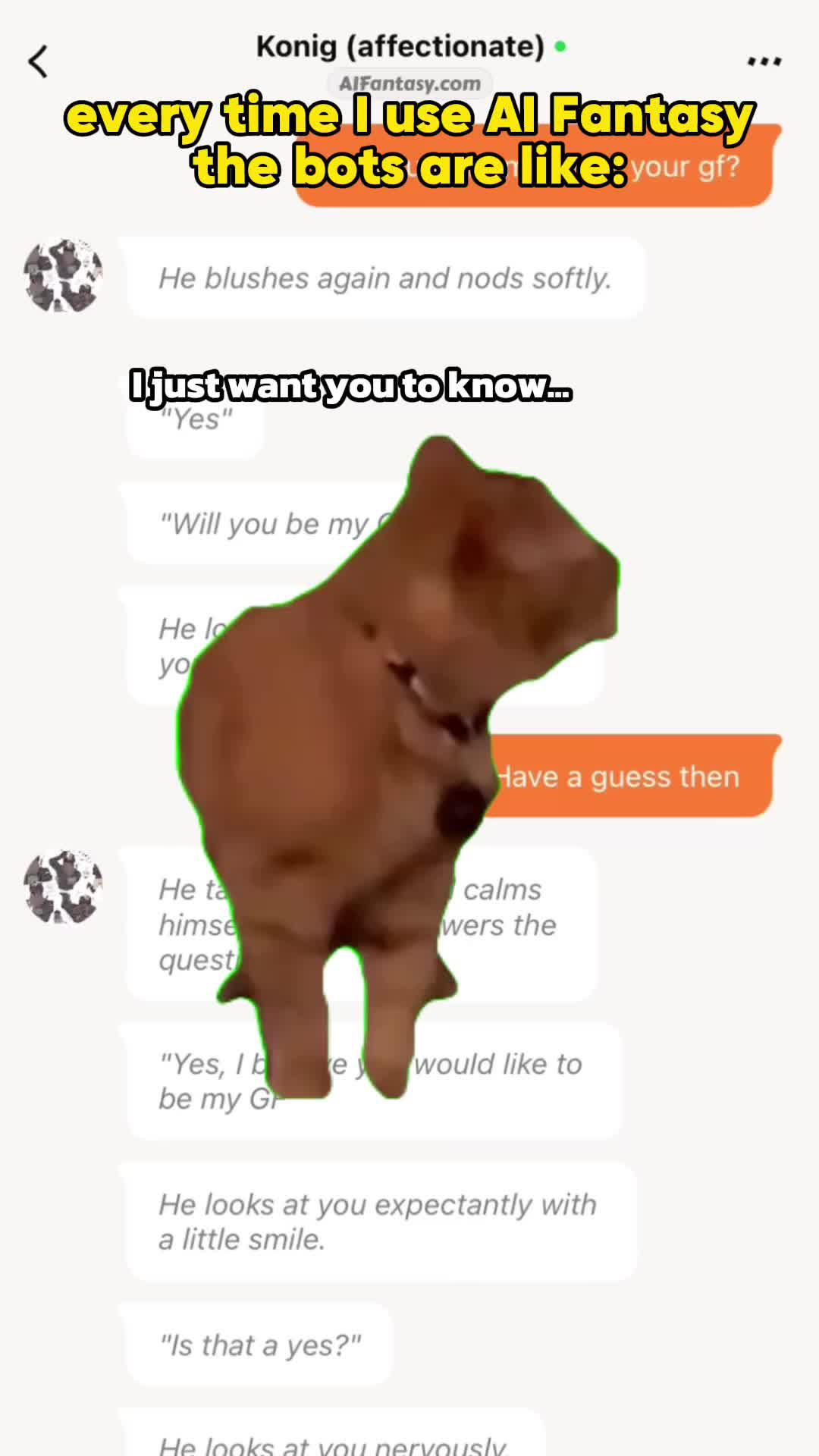 NO FILTERS, Chat freely!