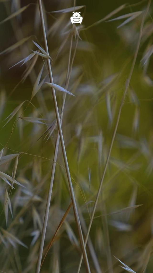 Bear Room is your safe place