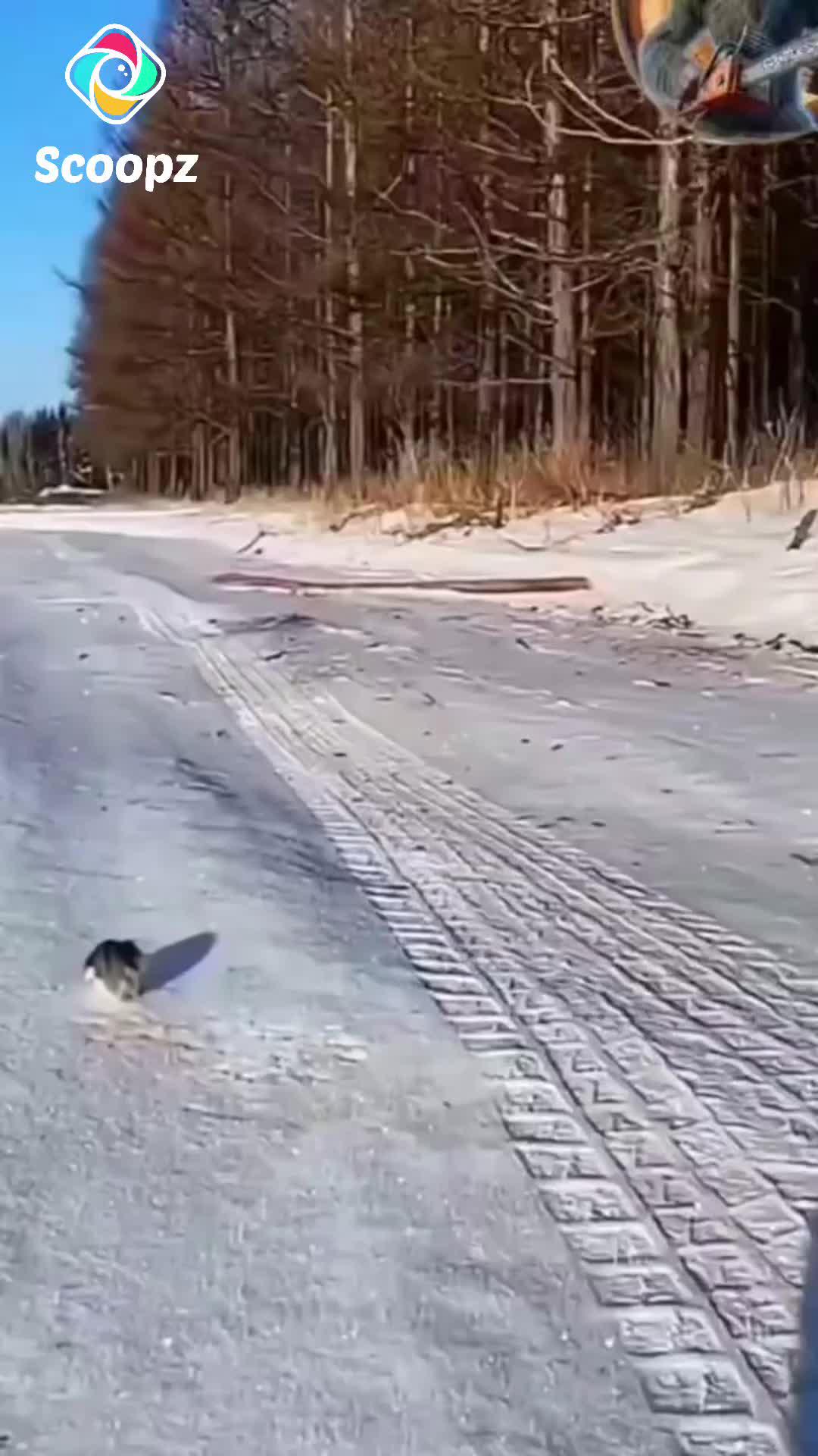 Swipe, tap, share—be part of the realest community online.