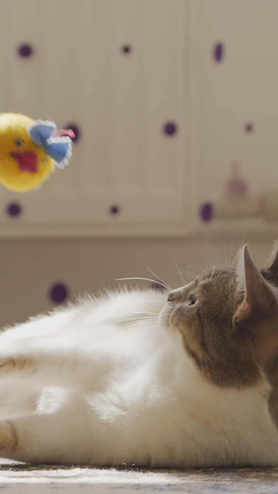 Keep it safe and sound—our safety maps are your best wingman!