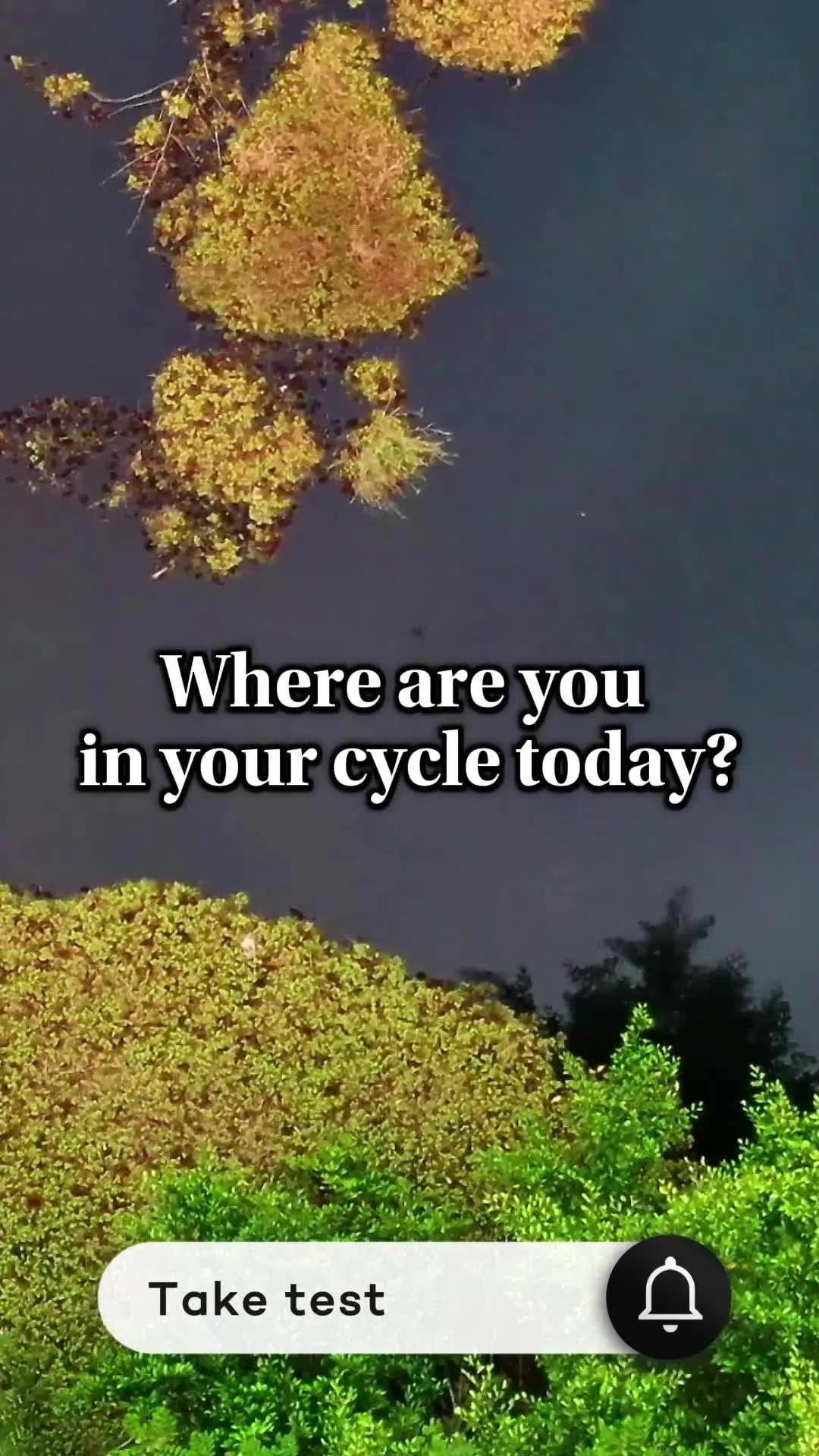 CHECK THIS: your daily hormone forecast to support your mind and body is waiting in app. 