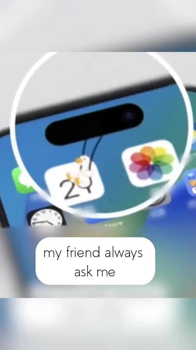 Set Cute Dynamic Animals Widget for your iPhone