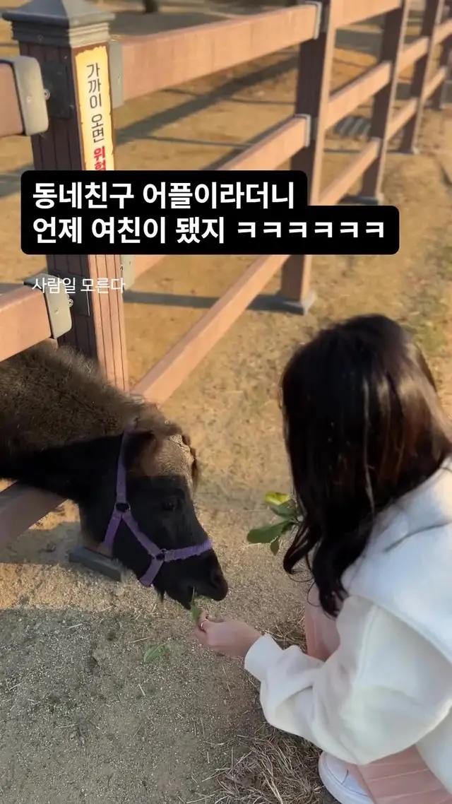 동네친구 필요할 때, <위피>