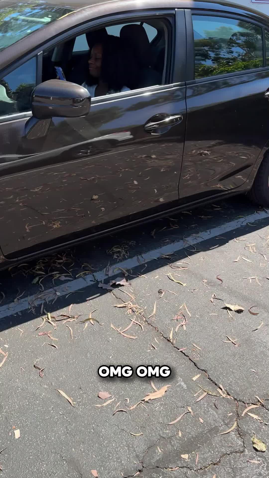 Deepen your understanding of key philosophical concepts in bite-sized, 2-minute sessions.