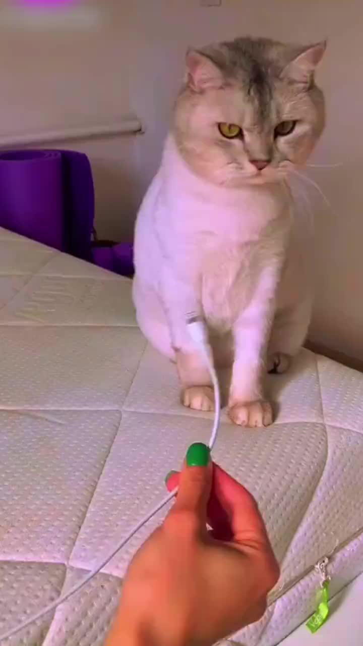 Powerful, free app! Download & Try It Now!