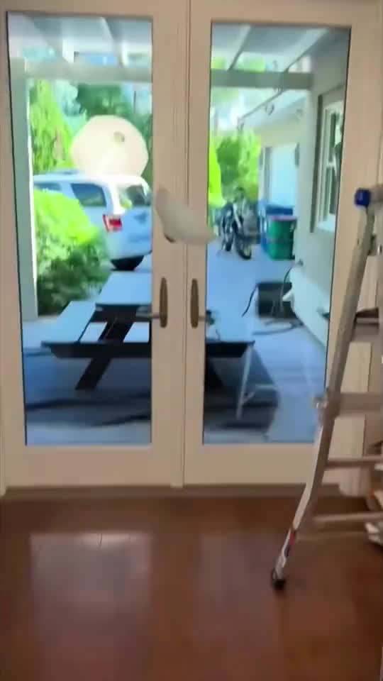 Hunt down your enemies!