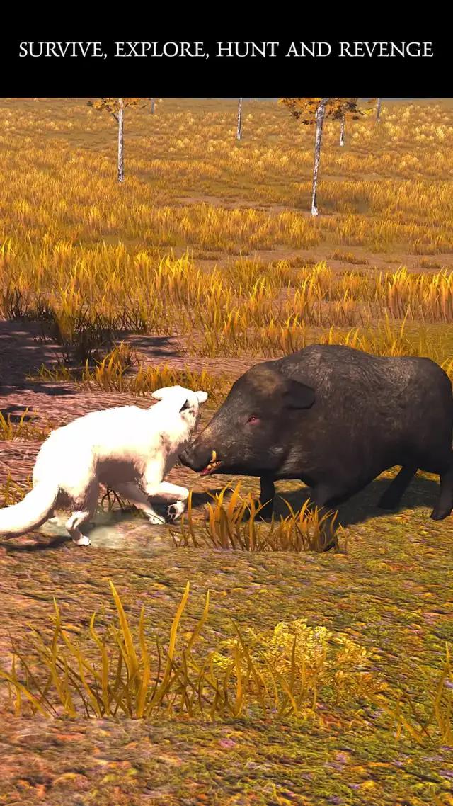 Experience the life of wolf in a wild! 