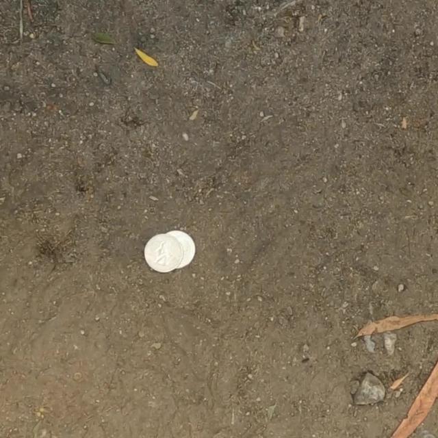 Scan and appraise your coins instantly with our mobile app!