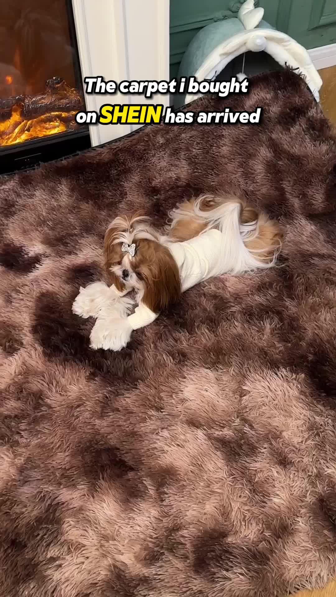 Infuse your home
with these useful additions!