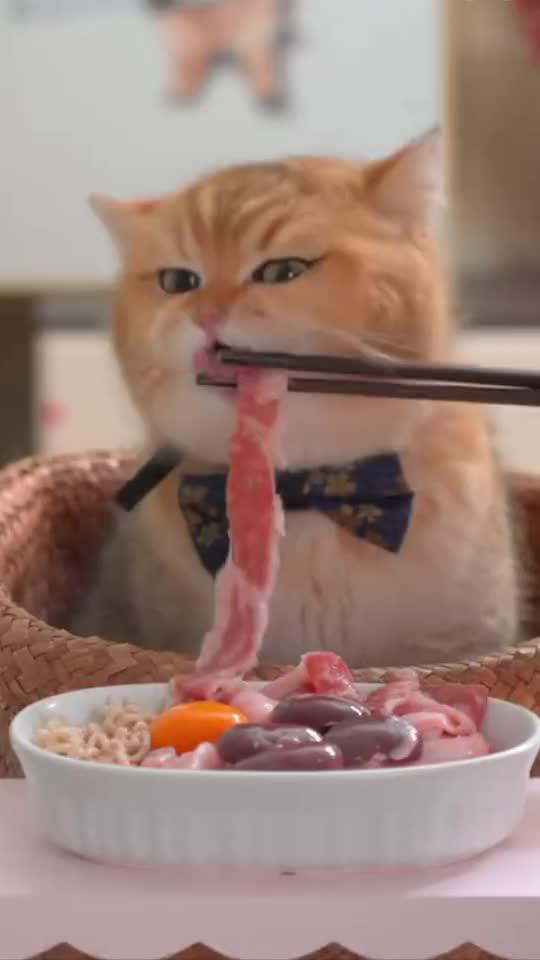 自分だけのねこレストランを開いて、ネットで一番人気のレストランにしよう！