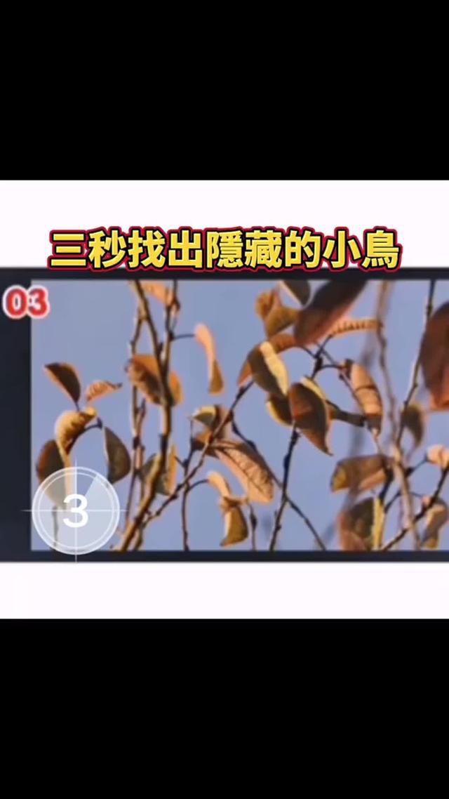 據說，只有情商超過120的人，才能在狼人陣營勝利！