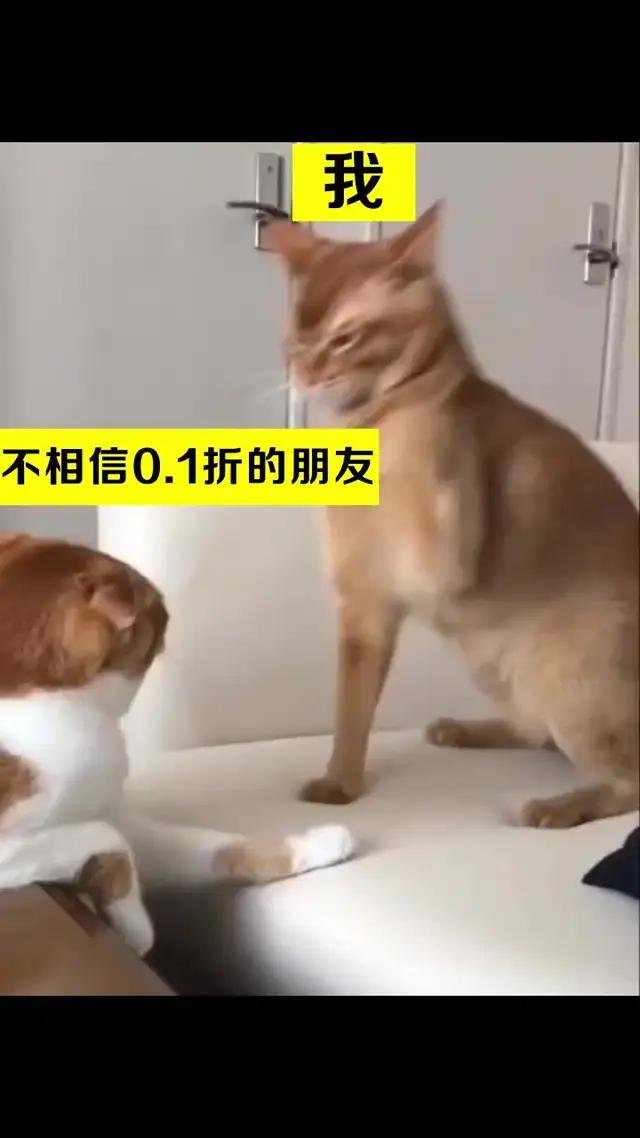 2024年首款降妖题材冒险手游