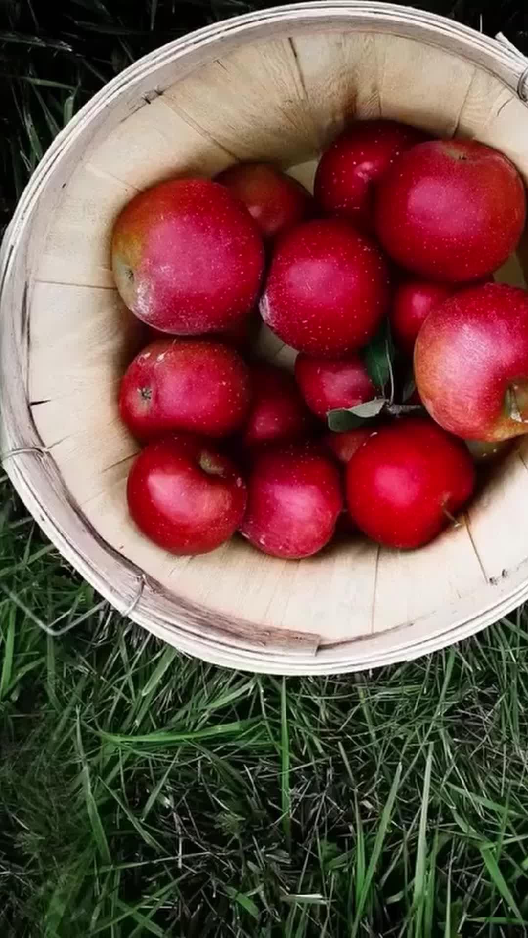 try this free and useful app