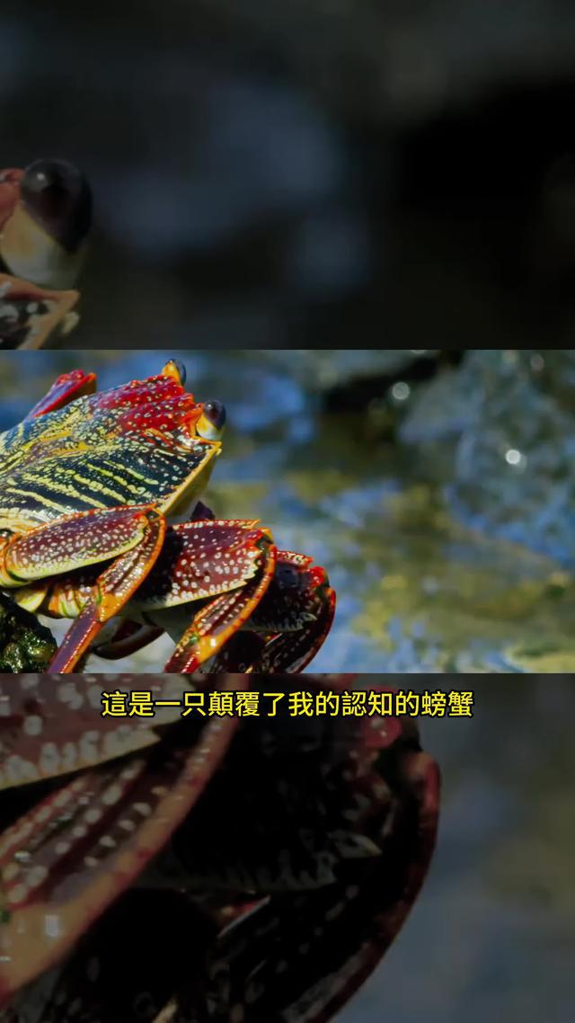 細膩逼真的3D畫面，帶你體驗釣魚的視覺盛宴！立即下載歡樂釣王傳奇！