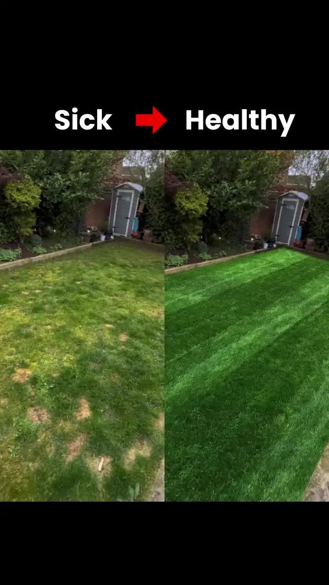 Never kill your plant again. Download AI-powered plant care app PlantIn for free now! 