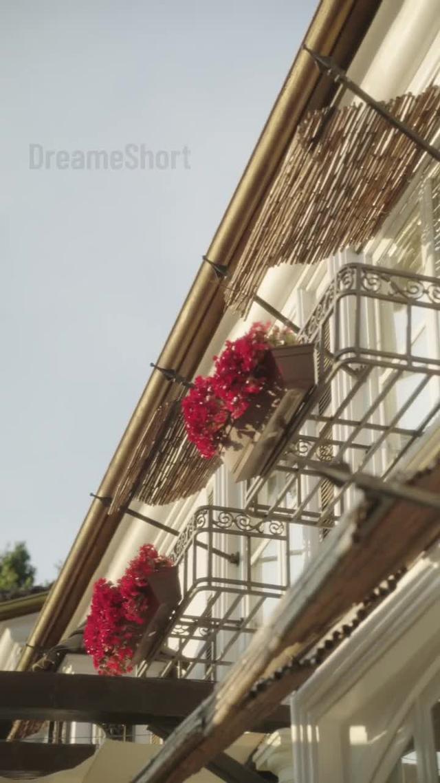 The co-parenting pact ignites hidden desires—she becomes the CEO's salvation and his undeniable love