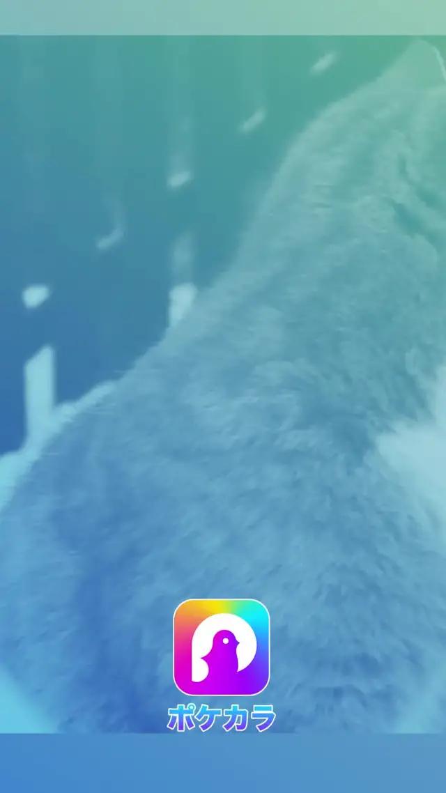  コラボ機能あり！離れていても友達と一緒にカラオケできる！