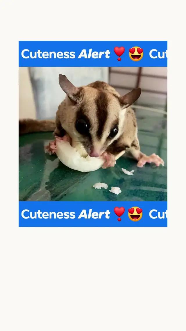 Find the perfect Facebook Group for you.