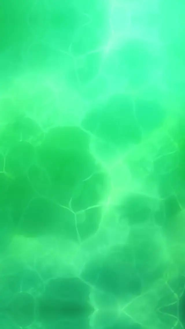 밤, 라헬, 쿤, 당신의 최애 캐릭터로 게임해보세요. 신의탑 출시