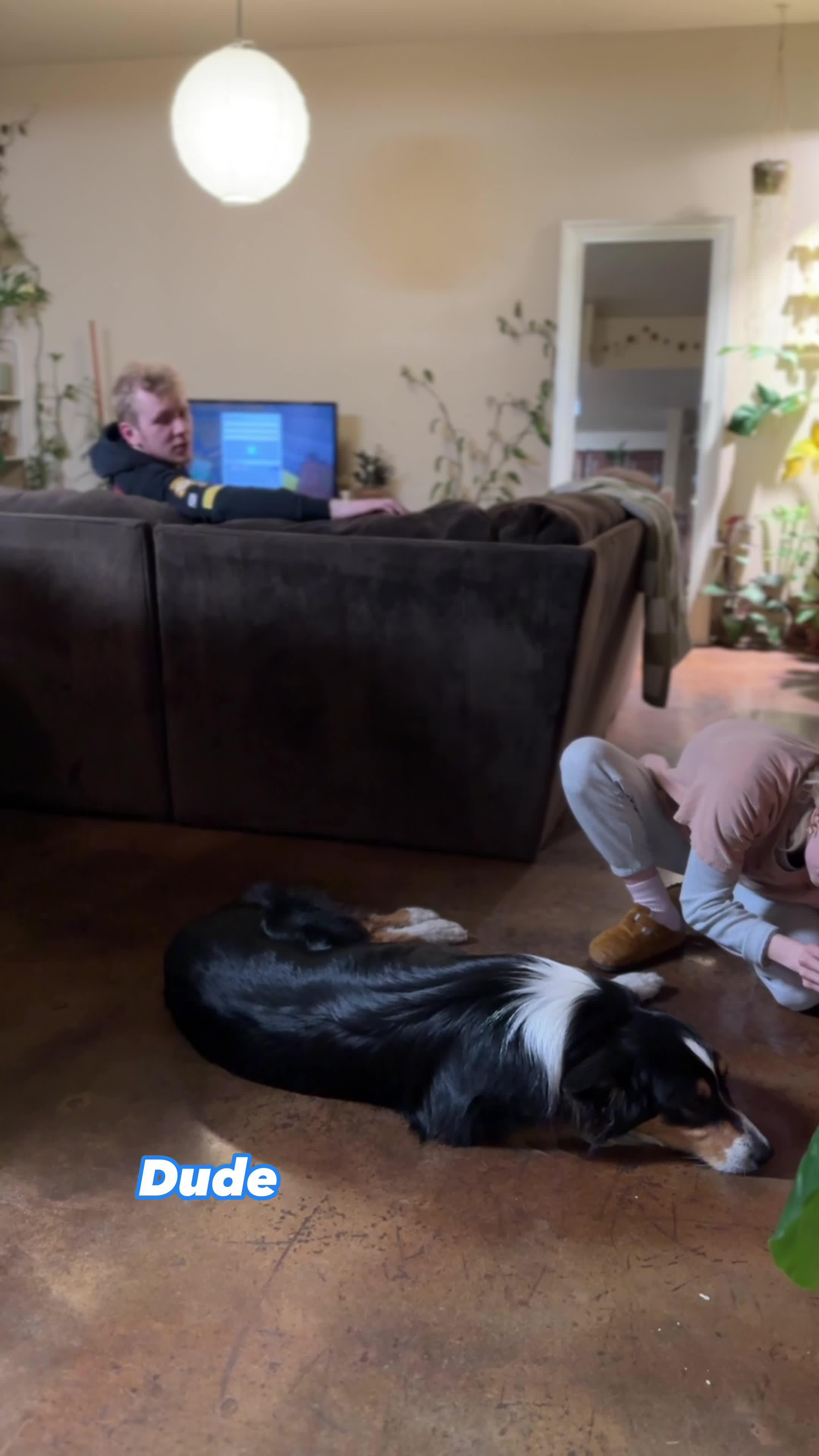 Free up storage in seconds with Cleanup app!