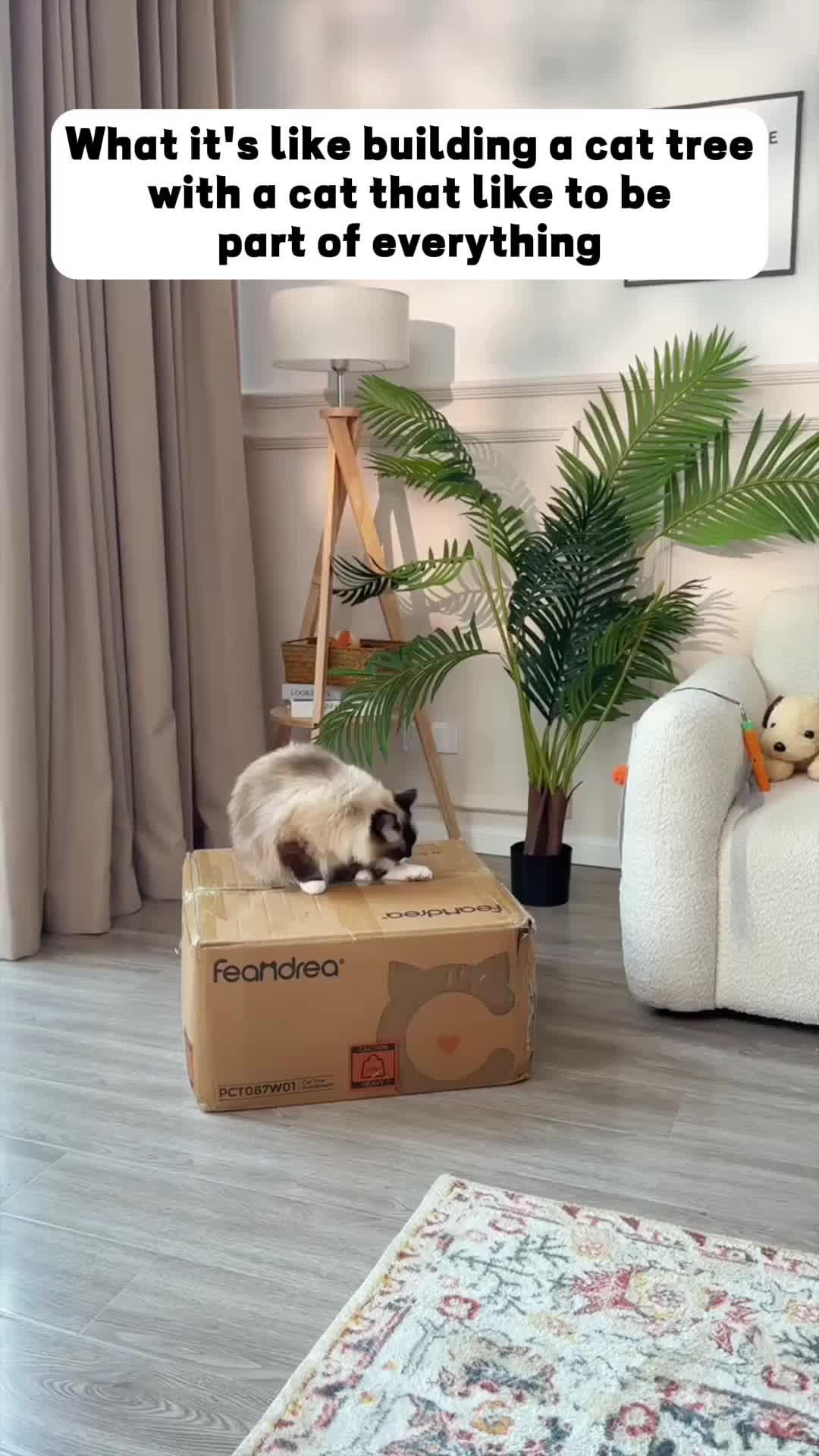 🌟 Pet lovers, behold!💖 Snag the pet essential where love meets innovation on Temu. 🐥🛍️ #BackyardBliss #TemuLove#TemuPets#TemuPetsFinds