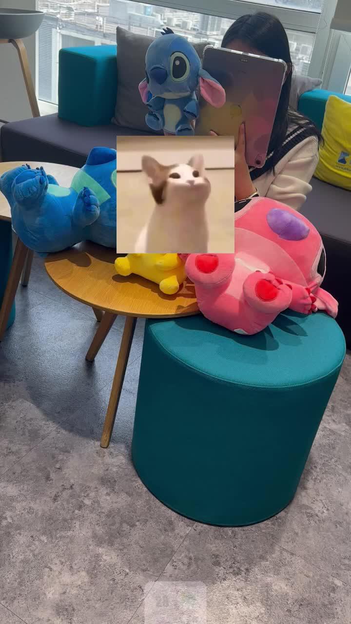 Set exclusive widgets & themes for your Phone